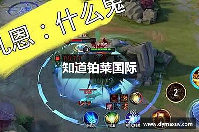 知道铂莱国际